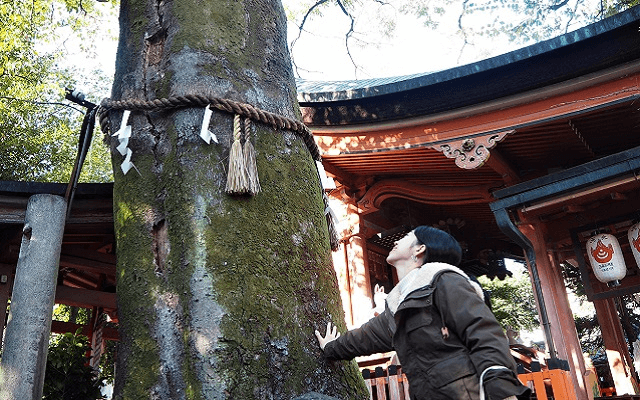 『武信稲荷神社』